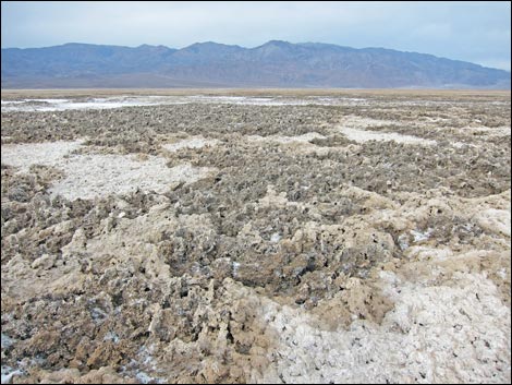 Harmony Salt Flats