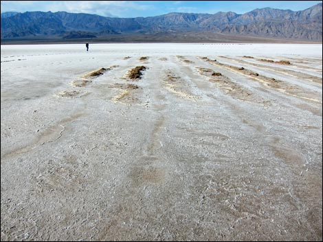 Harmony Salt Flats