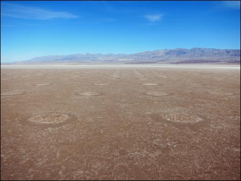 Harmony Salt Flats