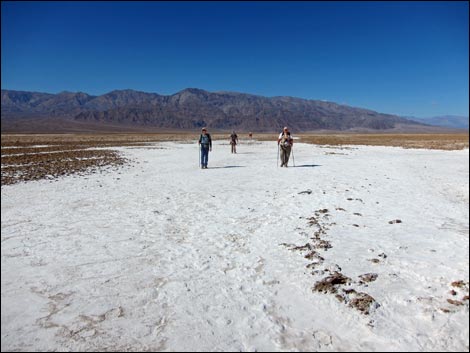 Harmony Salt Flats