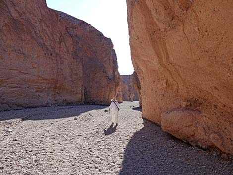 Natural Bridge Canyon