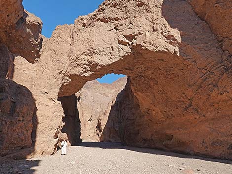 Natural Bridge Canyon