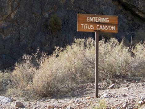 Titus Canyon Road