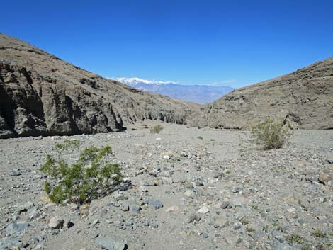 Sidewinder Canyon