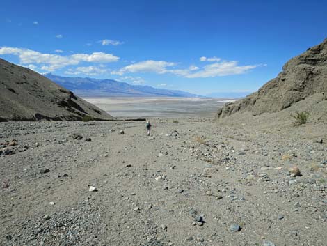 Sidewinder Canyon