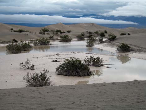 Mesquite Flat Sand Dunes