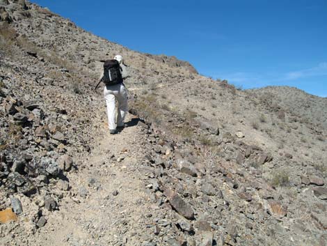 Little Ubehebe Peak