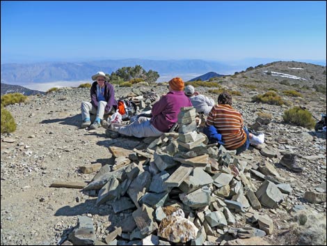 Wildrose Peak