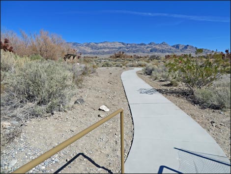 Bighorn Trail