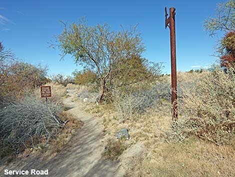 Birdsong Trail