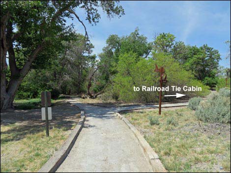 Birdsong Trail