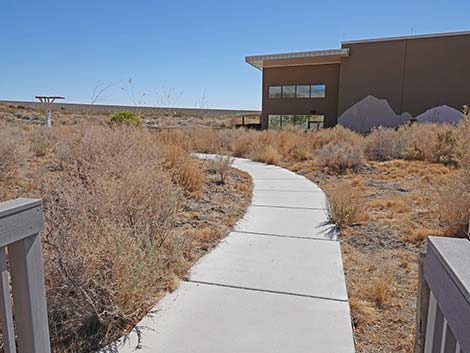 Jackrabbit Loop Trail