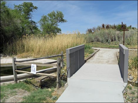 Jackrabbit Loop Trail