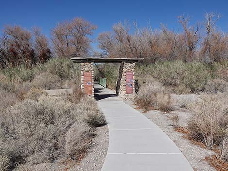 Jackrabbit Loop Trail