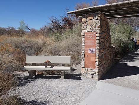 Jackrabbit Loop Trail