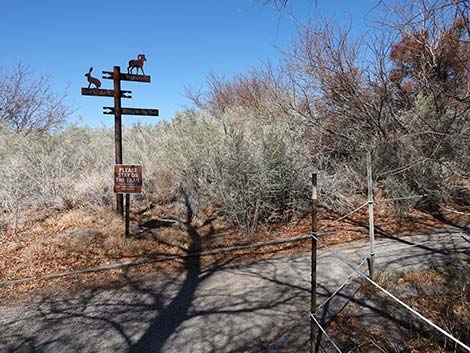 Jackrabbit Loop Trail