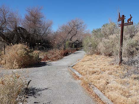 Jackrabbit Loop Trail