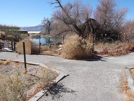 Jackrabbit Loop Trail