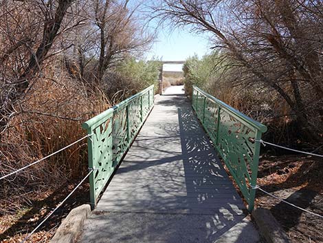 Jackrabbit Loop Trail