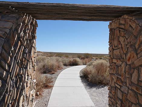 Jackrabbit Loop Trail