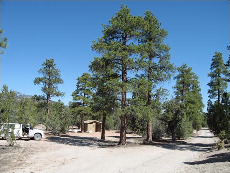 Mormon Pass Campground