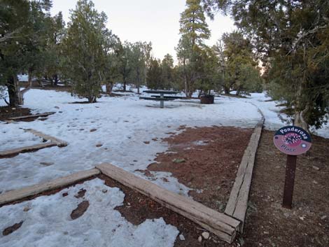 Desert Pass Campground