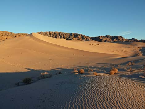 Desert Dry Lake Dunes