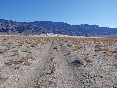 Desert Dry Lake Dunes North