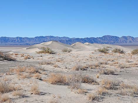 Desert Dry Lake Dunes