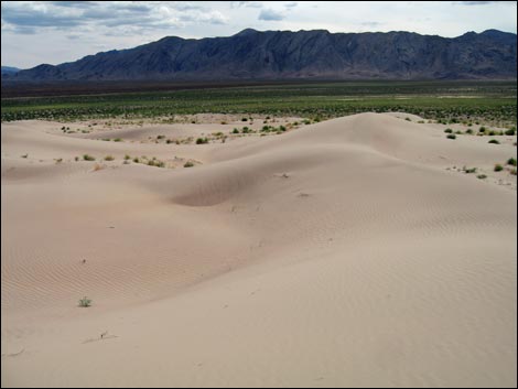 Desert Dry Lake Dunes South