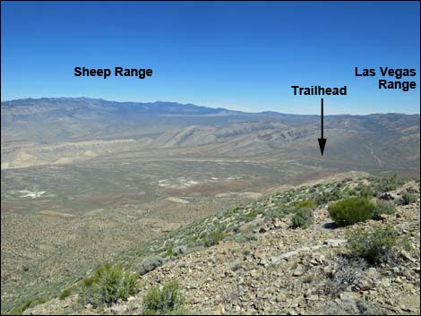 Gass Peak Summit