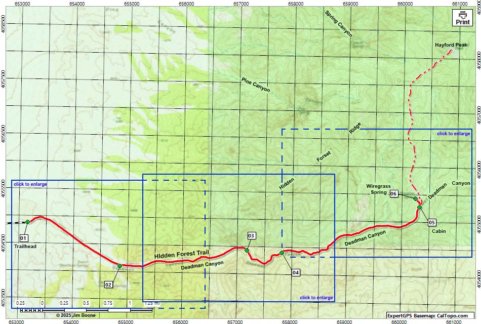 Hidden Forest Route Map Overview