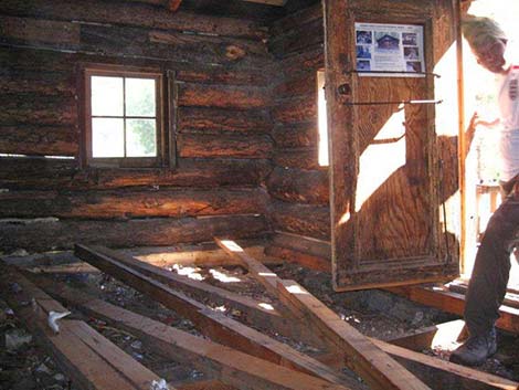 Hidden Forest Cabin Restoration