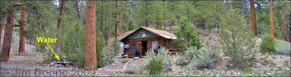 Hidden Forest Cabin