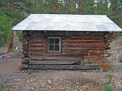 Hidden Forest Cabin