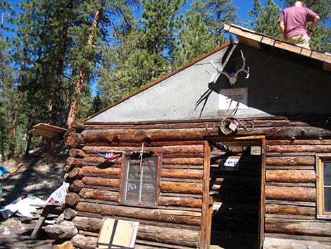 Hidden Forest Cabin