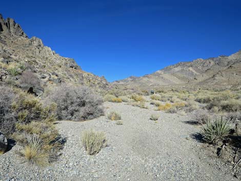 Joe May Canyon Guzzler