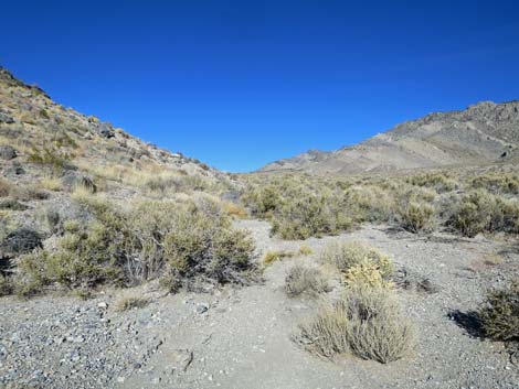 Joe May Canyon Guzzler