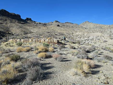 Joe May Canyon Guzzler