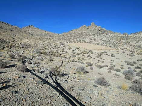 Joe May Canyon Guzzler