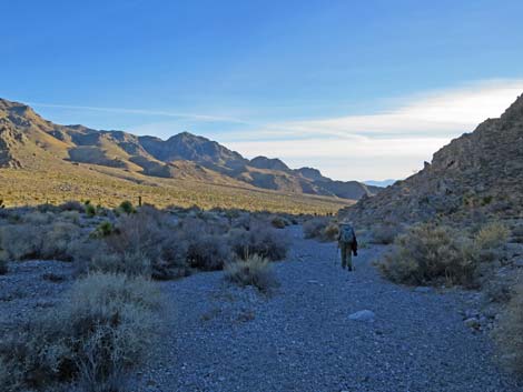 Joe May Canyon Guzzler