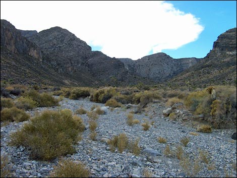 Long Canyon