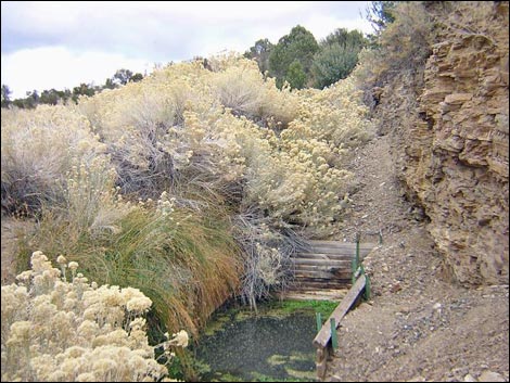 Mormon Well