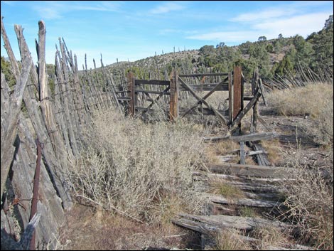 Mormon Well