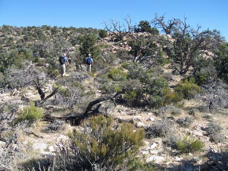 Quartzite Mountain