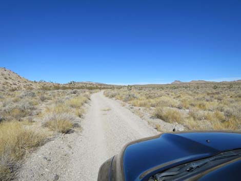 Alamo-Badger Connector Road