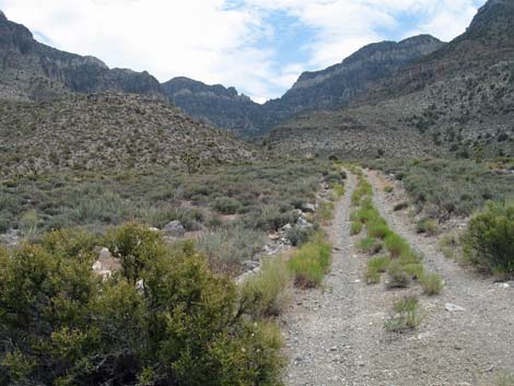 Cabin Spring Road