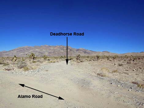 Deadhorse Road