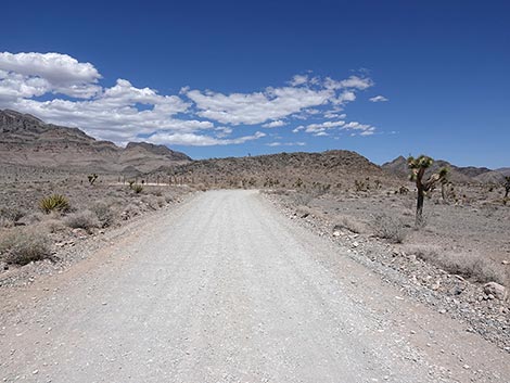 Mormon Well Road