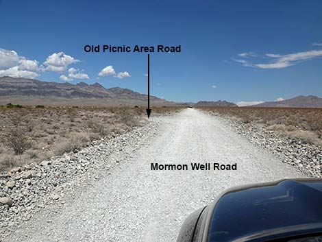 Mormon Well Road